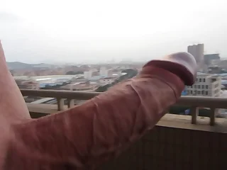 3005 shaved porn videos